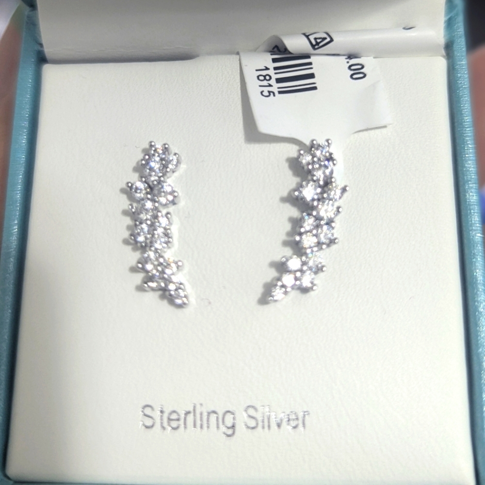 Sterling Silver Earrings